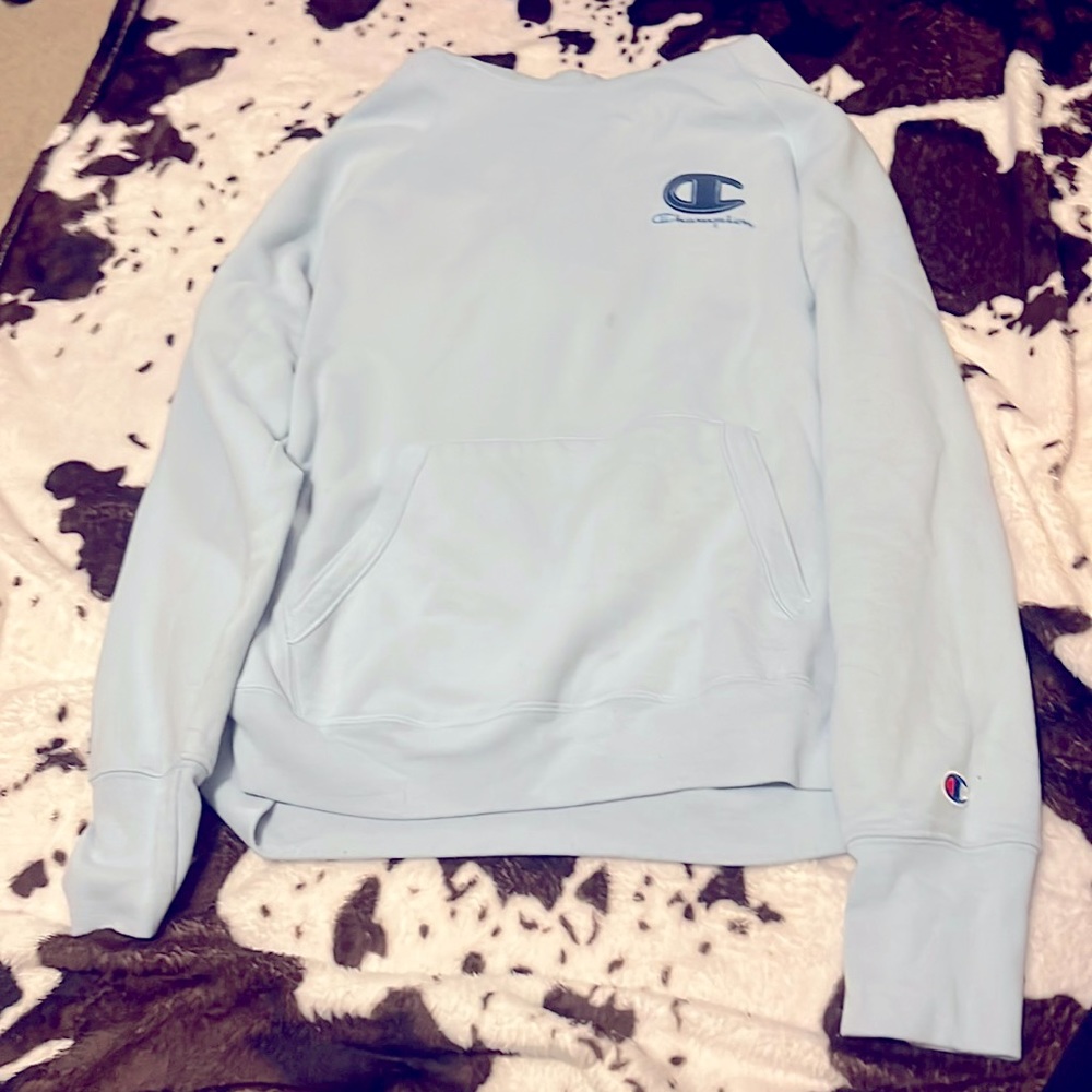 Light Blue Champion Hoodie—Large